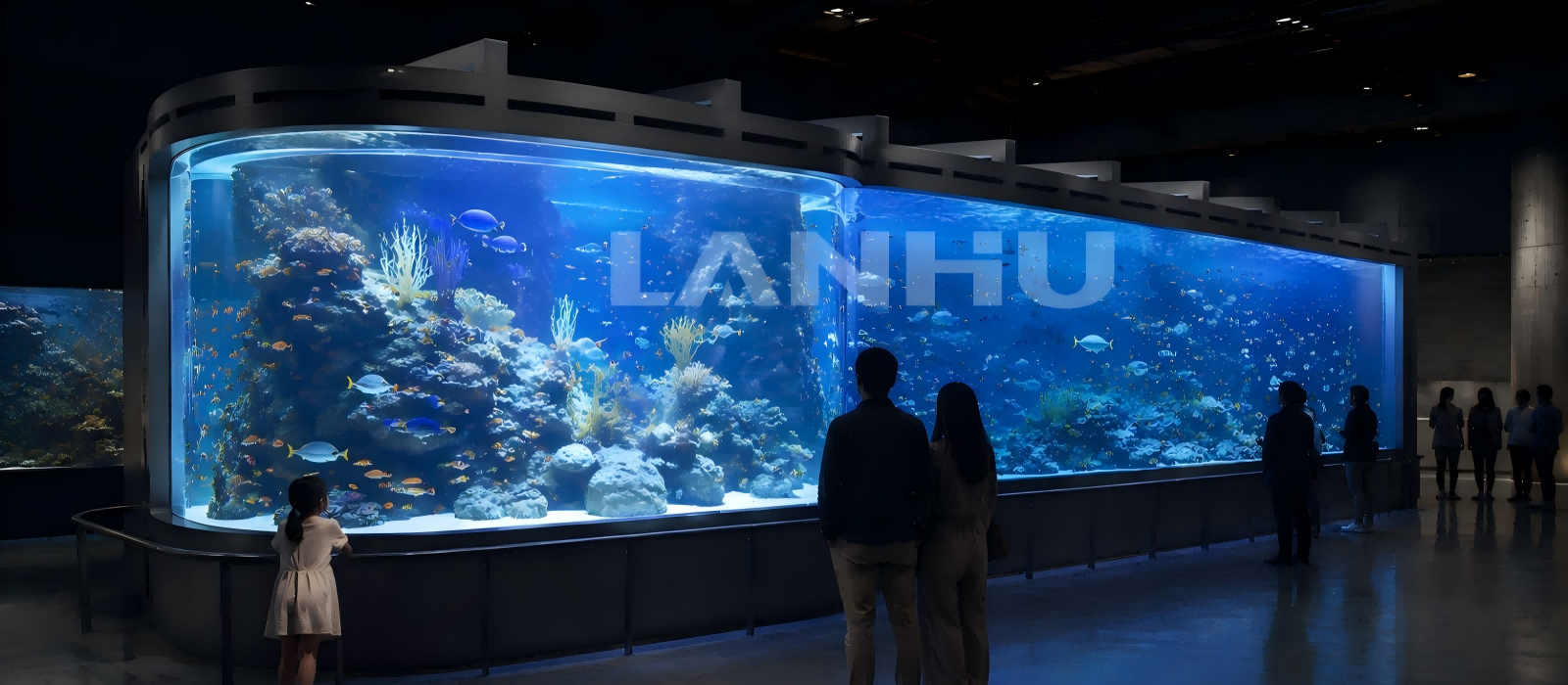 Continuous Corner Curved Acrylic Aquarium-C03.png