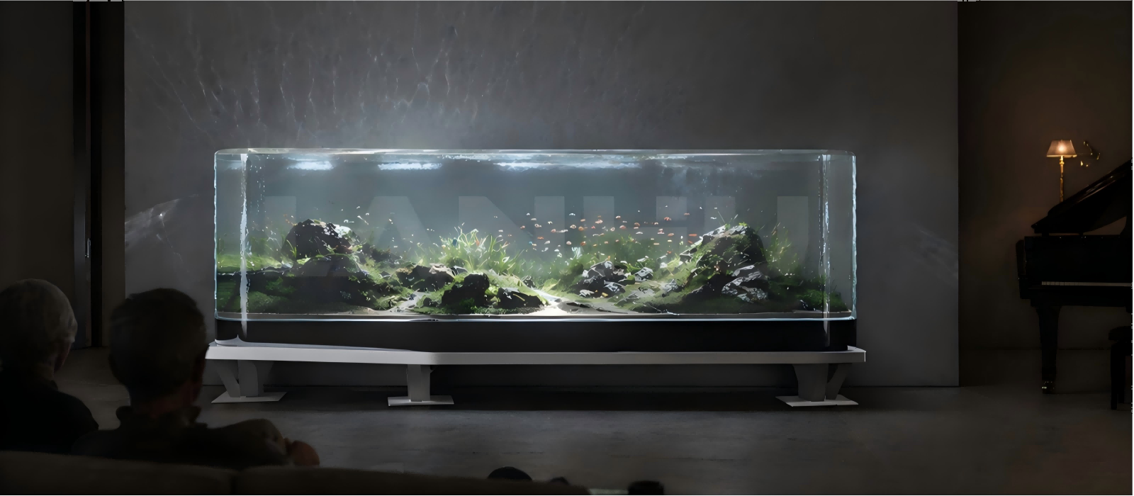 Custom Continuous-Curved Acrylic Viewing Tank-C04.png
