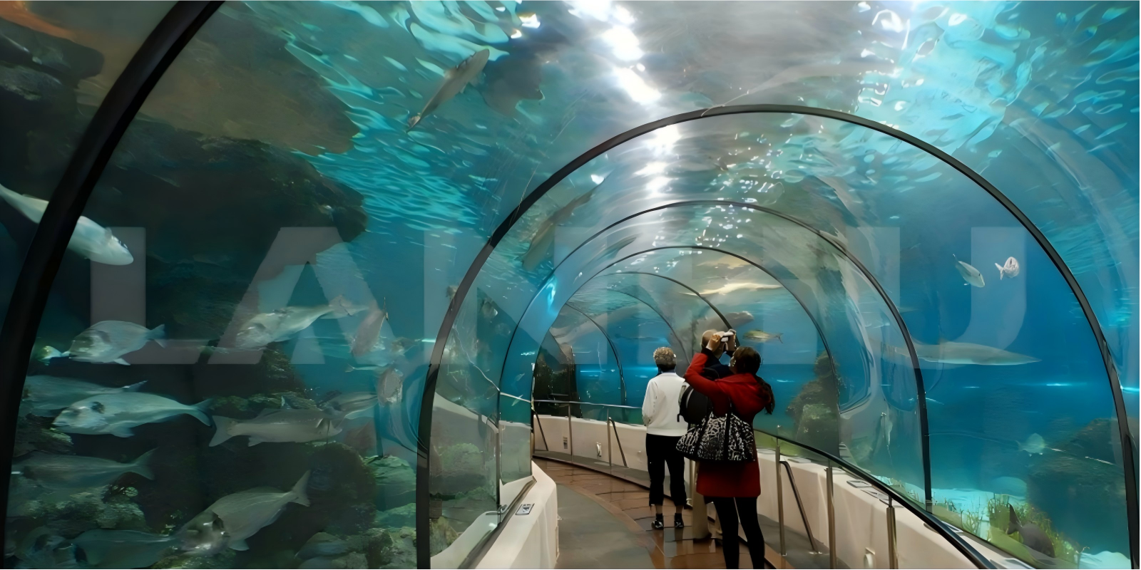 Acrylic Underwater Tunnel-C02.jpg
