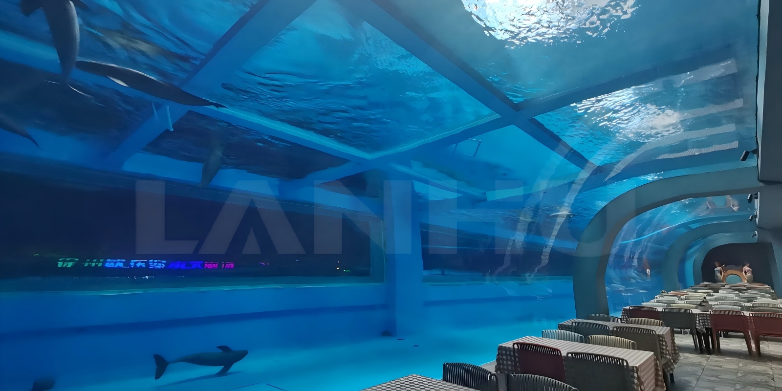 90° Acrylic Underwater Tunnel-C02.jpg