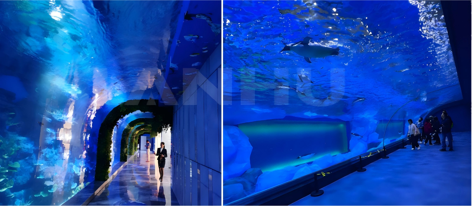 90° Acrylic Underwater Tunnel-C04.png