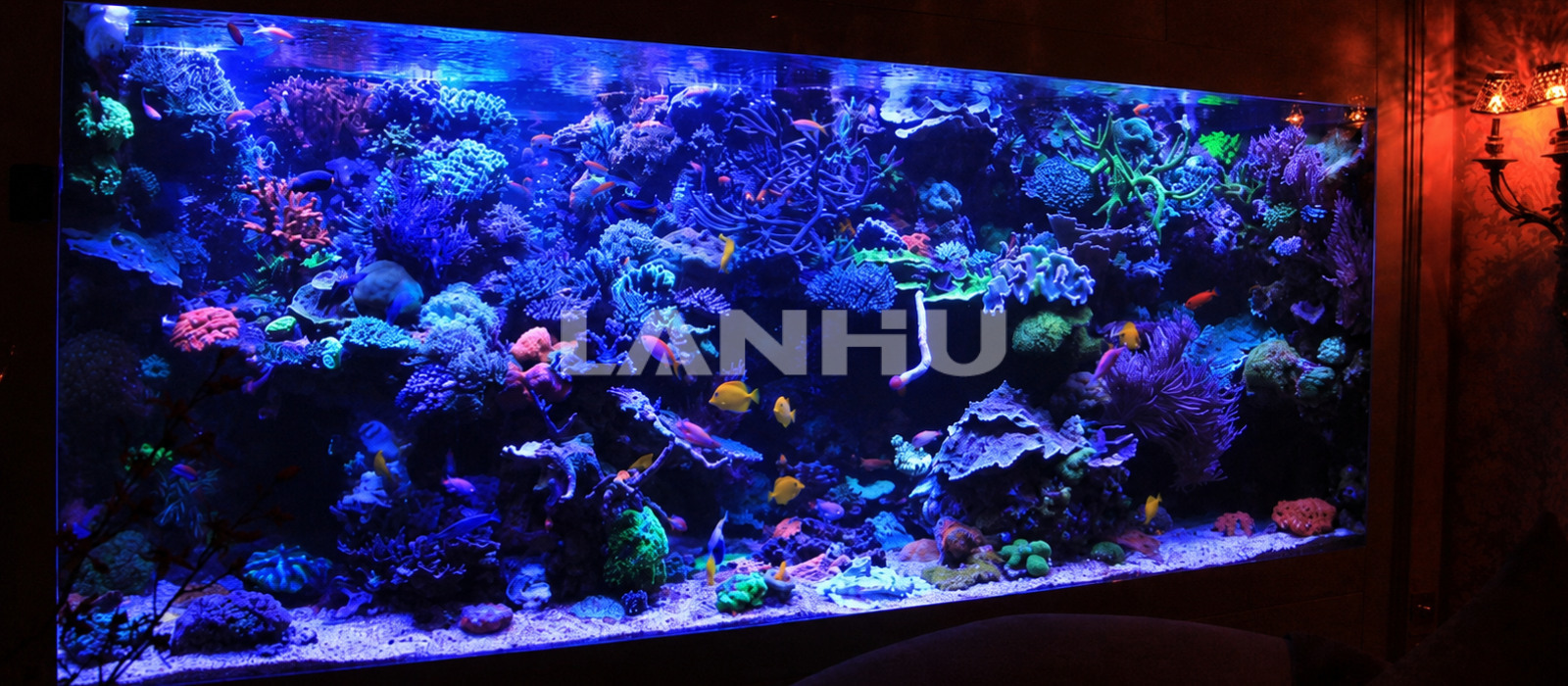 2cad9923-3d2d-4419-8cc3-e94333ba1d97.jpg