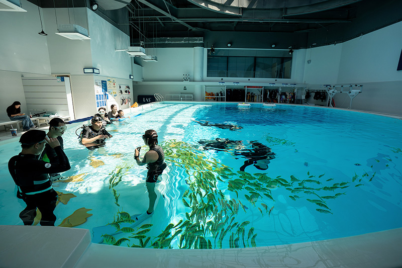 Lanhu Alibaba Acrylic Diving Pool Project-3.jpg