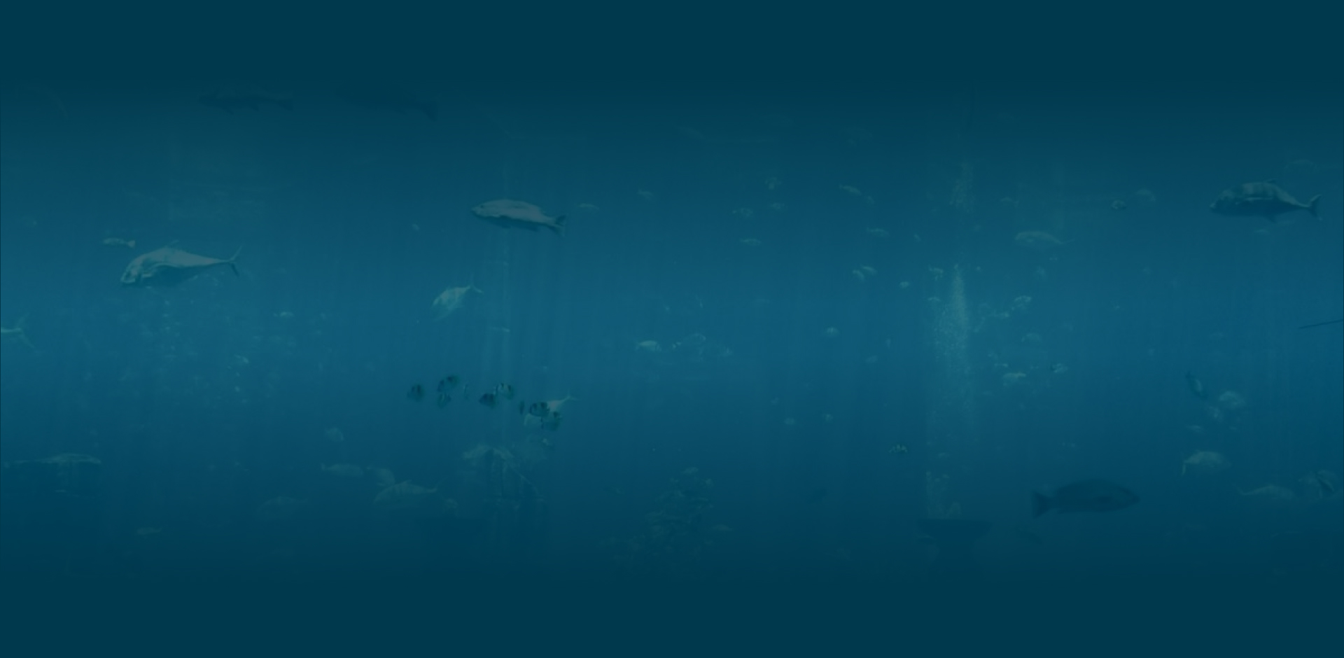 e2_bg01.jpg