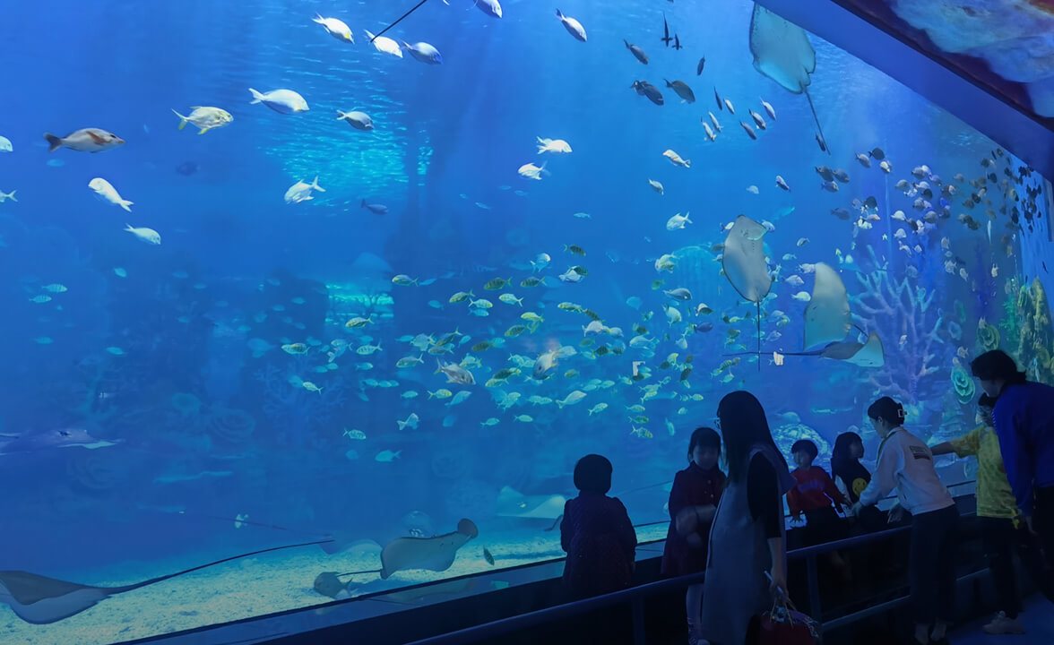 Aquarium Market Feasibility Study