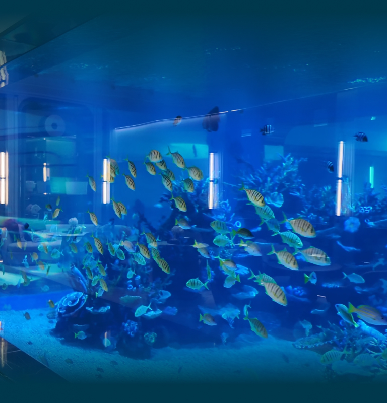 Aquarium Market Feasibility Study