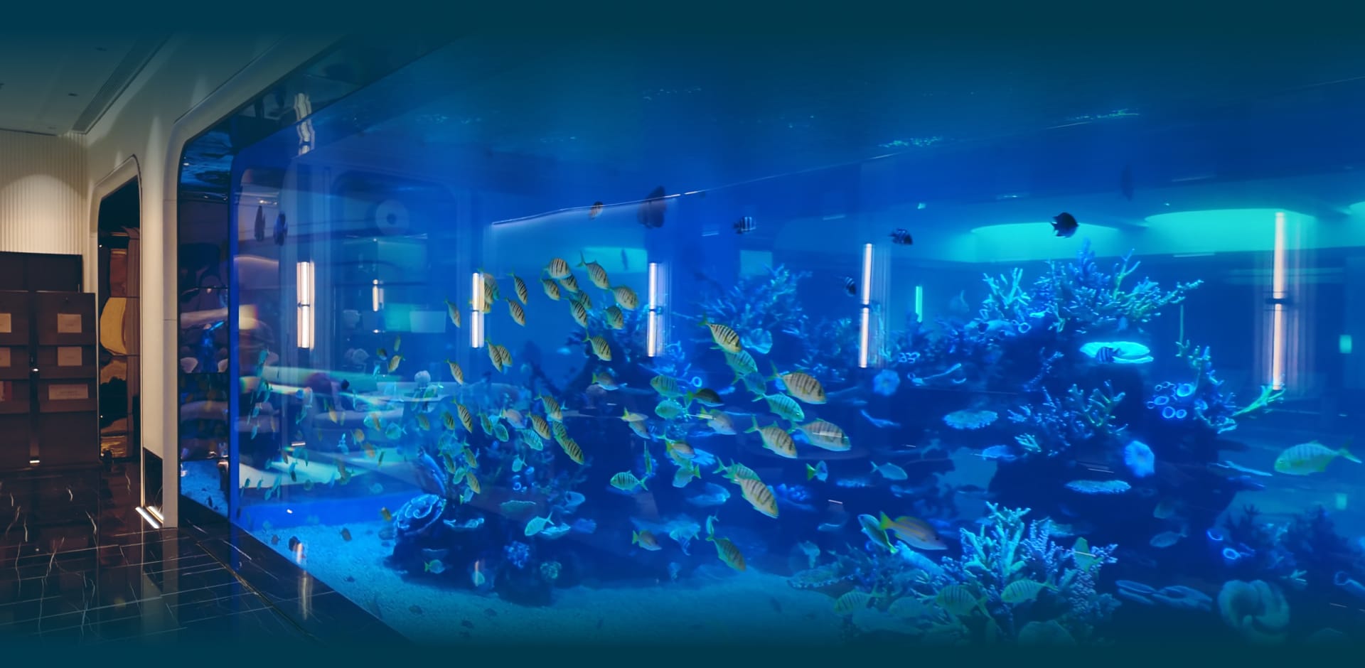 Aquarium Site Evaluation