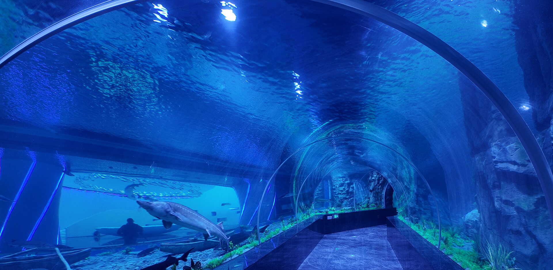b1_bg09.jpg