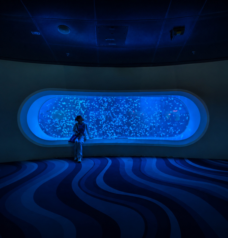 d5e4ddd3-347b-46af-a0d6-ab86af8b1a07.jpg