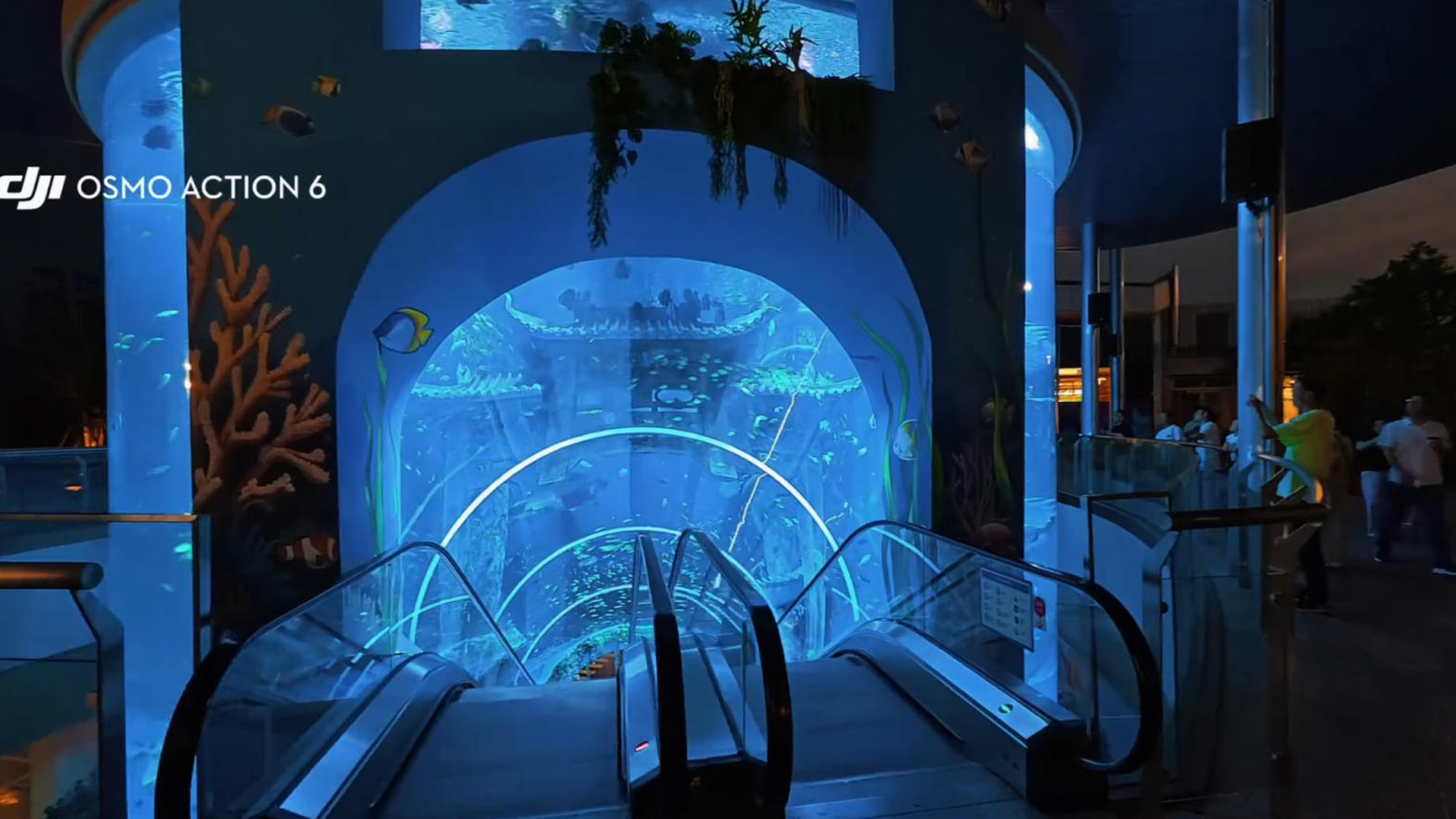 transparent-acrylic-creating-an-immersive-underwater-tunnel-0.jpg