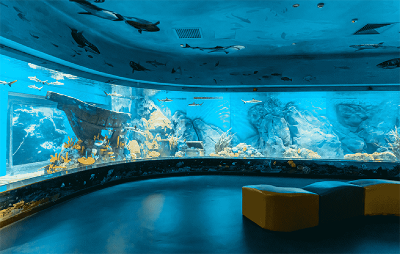 Acrylic Viewing Panels for Large Aquariums.png