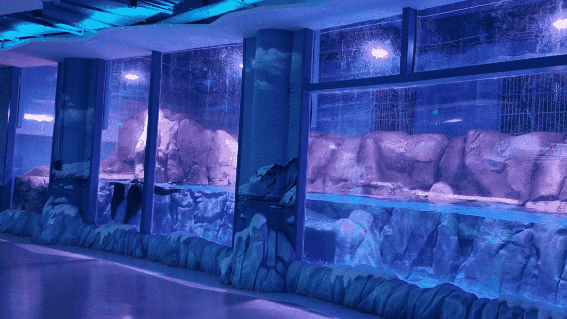 Acrylic Structure, Geometry and Installation.png