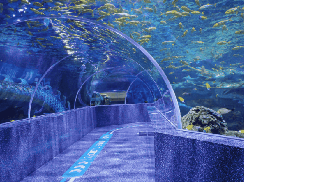 acrylic underwater tunnels.png